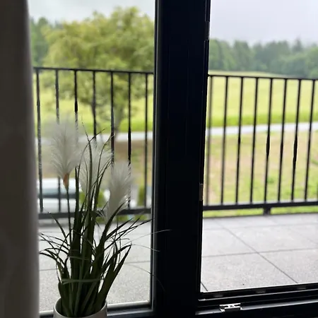 Apartament Iris, 305 *