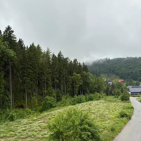 Apartment Iris Cerny Dul